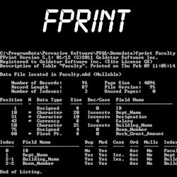 FPrint: DDF Print Utility
